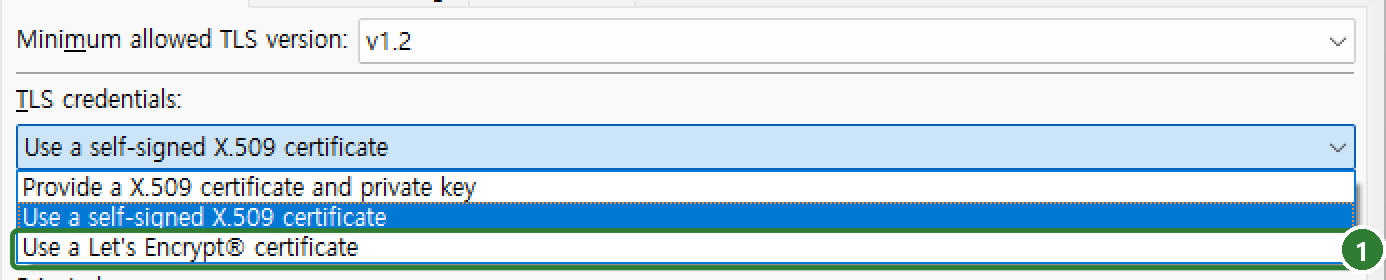 TLS credentials 드롭다운. Provide a X.509 certificate and private key, Use a self-signed X.509 certificate, Use a Let's Encrypt certificate